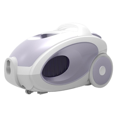 Bagless Canister